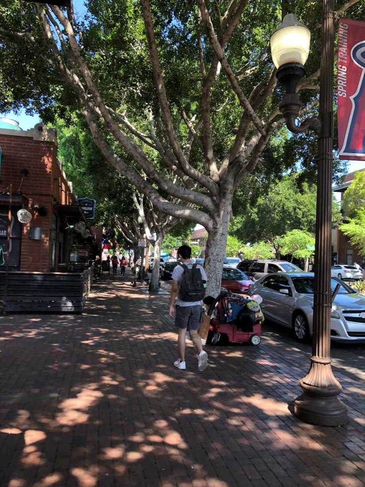 Walking in downtown Tempe